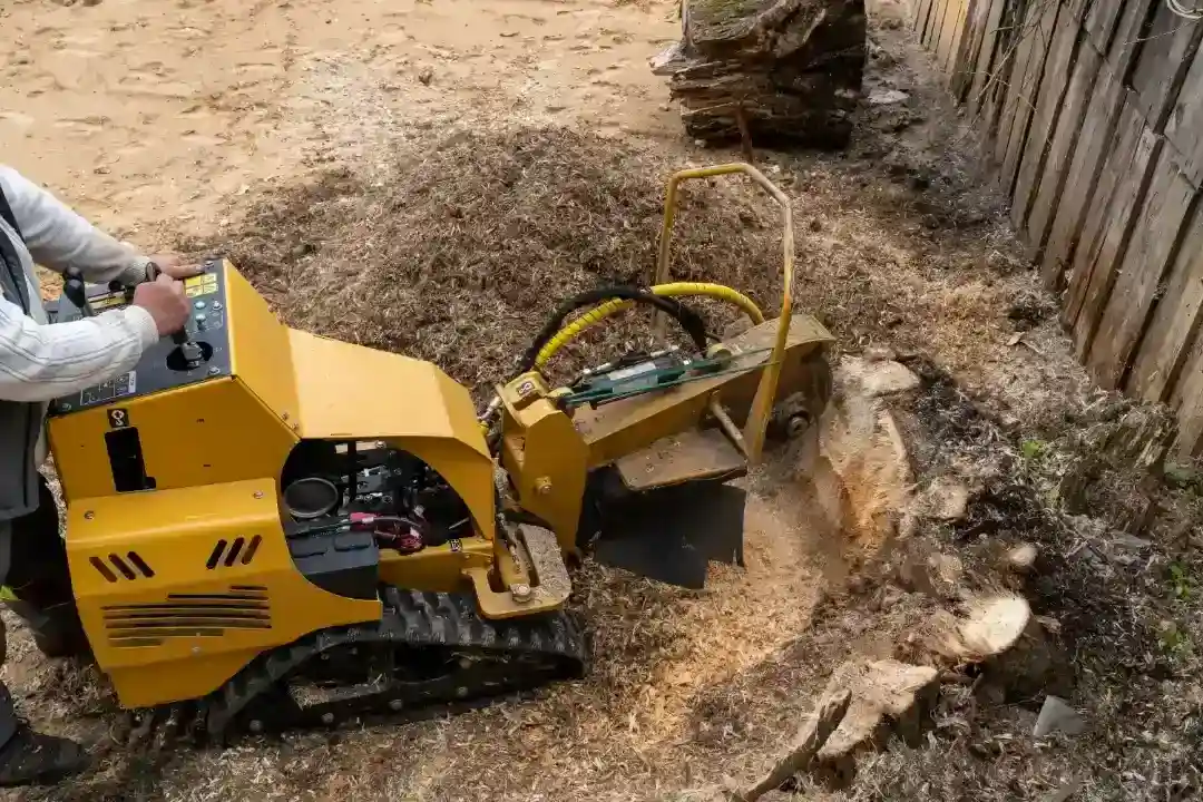 Tree Removal Doonan