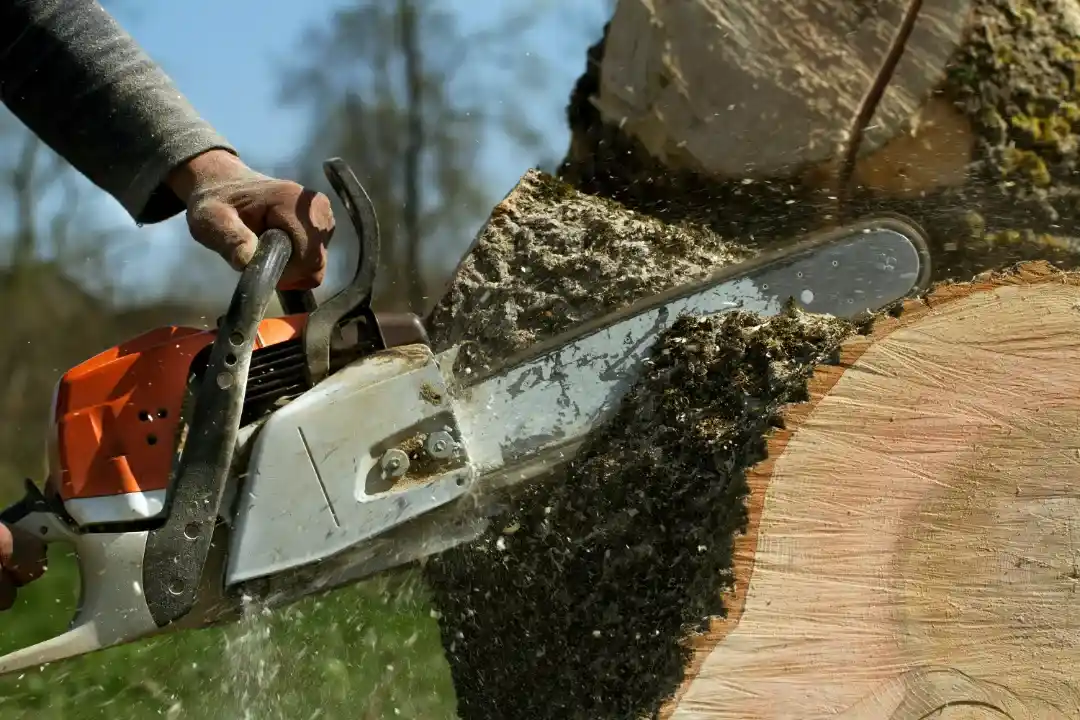 Tree Removal Doonan